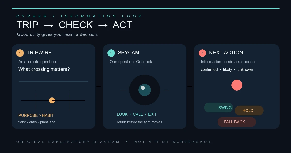 Cypher Guide: Trips, Camera Information and Trap Discipline